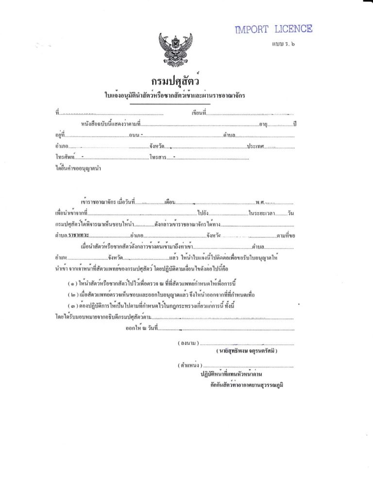 The Complete Guide to Thailand Pet Relocation