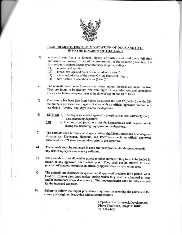 The Complete Guide to Thailand Pet Relocation