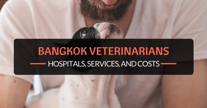 bangkok veterinarians