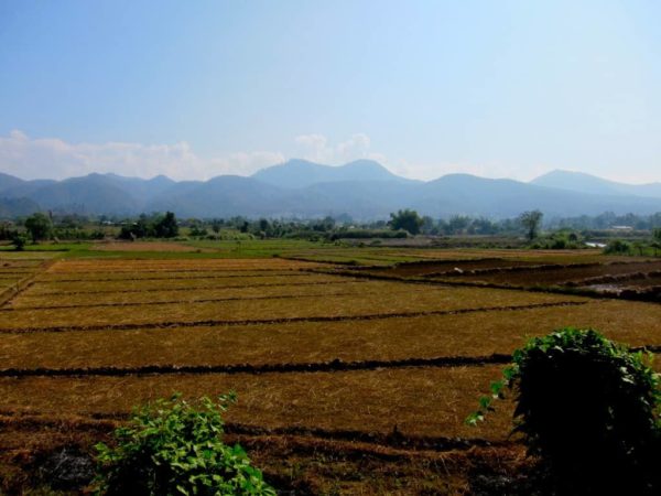 A foreigner can also inherit land but must sell it within a year