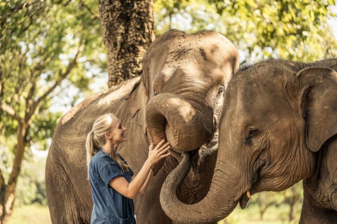 elephant anantara