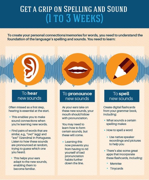 Infographic