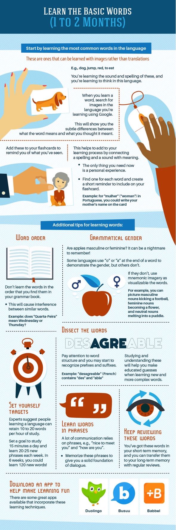 Infographic