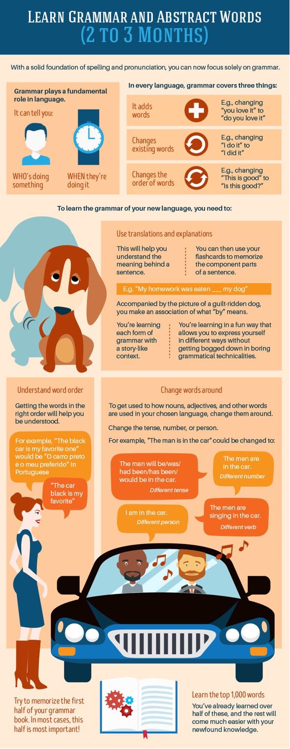 Infographic