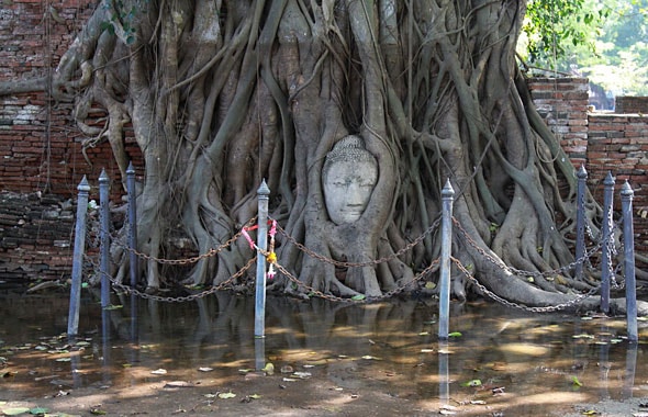 Ayutthaya Underwater Ayutthaya Underwater