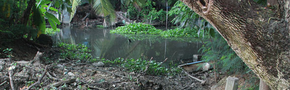 Bangkok is Still Bracing for the Flood