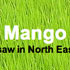 Beyond the Mango Juice