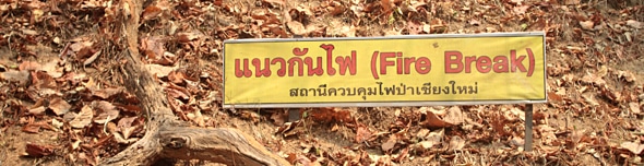 Thai Language