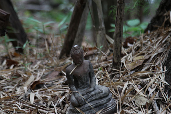 Chainsaw Critters of Thailand Chainsaw Critters of Thailand