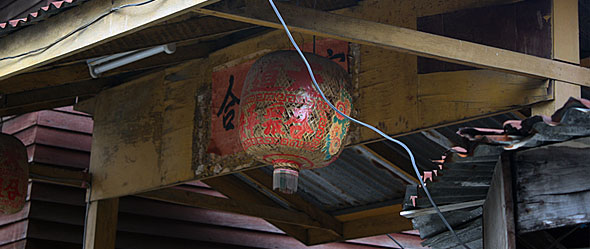 Chinese Lantern