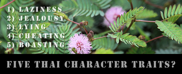 Campaign Promise: Curing Thais of Five Character Flaws