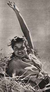 Ingrid Bergman