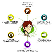 How to learn a language