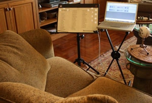 Living room set up