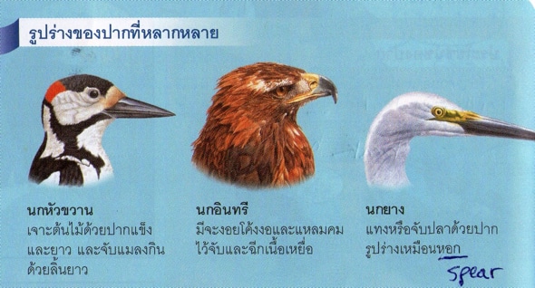 Thai Language