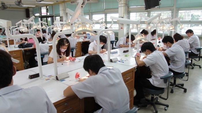 dentist student at Chiang Mai University. 