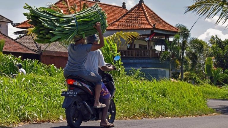An Expat Guide to Finding the Best Health Insurance in Indonesia