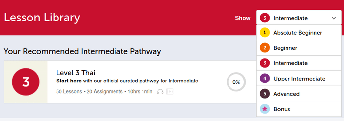 Level 3 curated pathway for intermediate learners