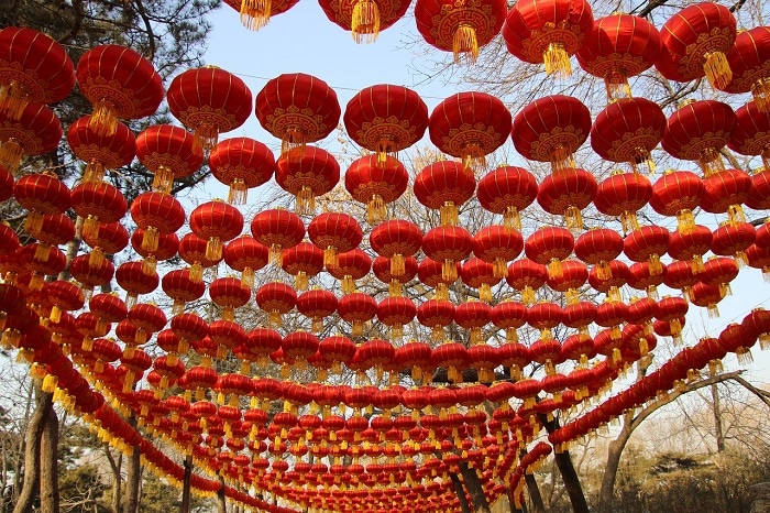 chinese new year lanterns