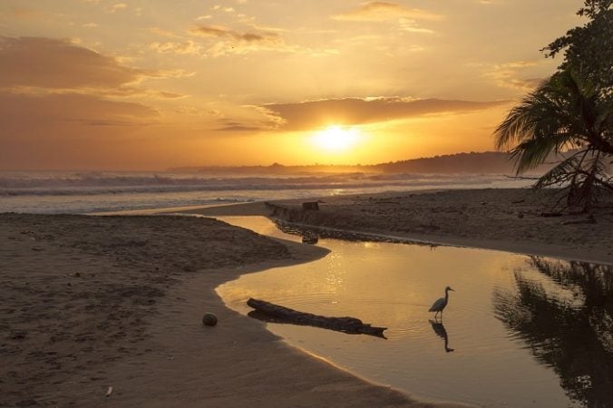 costa rica sunset