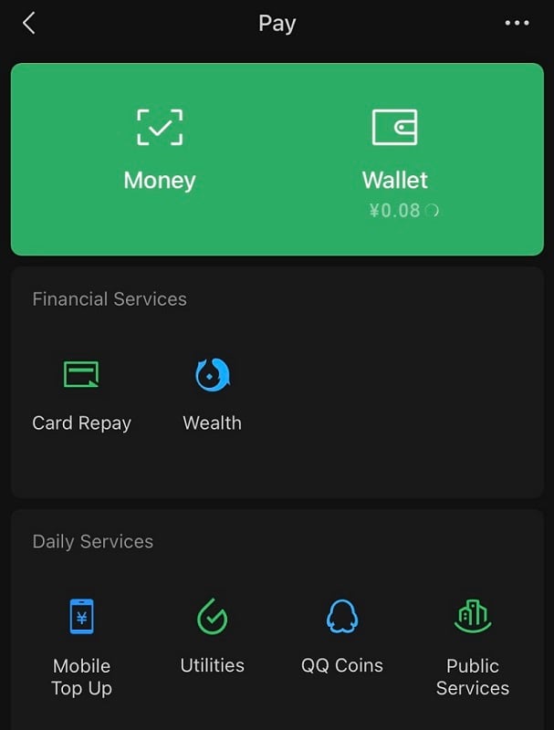 WeChat Pay screenshot from a mobile phone 