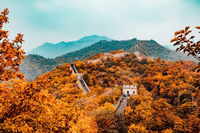 The Great Wall of China in Autumn with orange leaves. 
