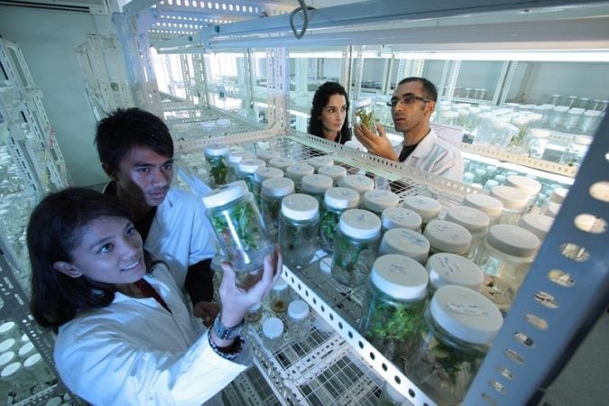 biotechnology job in Singapore