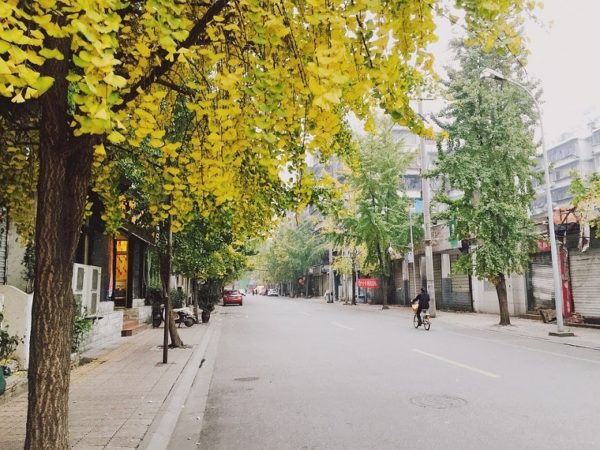 green spaces Chengdu