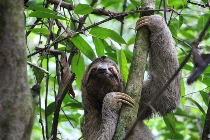 Manuel Antonio National Park