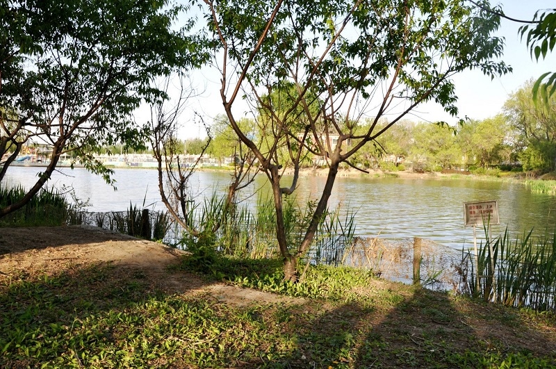 Grassy place to sit by the lake in Chaoyang Park