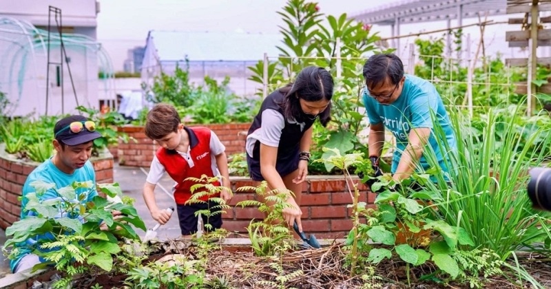 A community garden