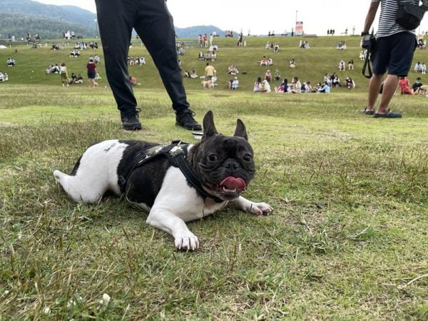 Zoe on a park