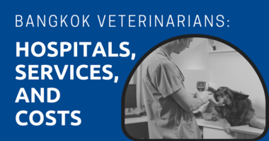 Bangkok Veterinarians Hospitals, Services, and Costs