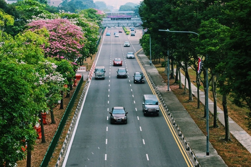 A photo of a pretty tree-lines Singapore street with a few cars on it. 