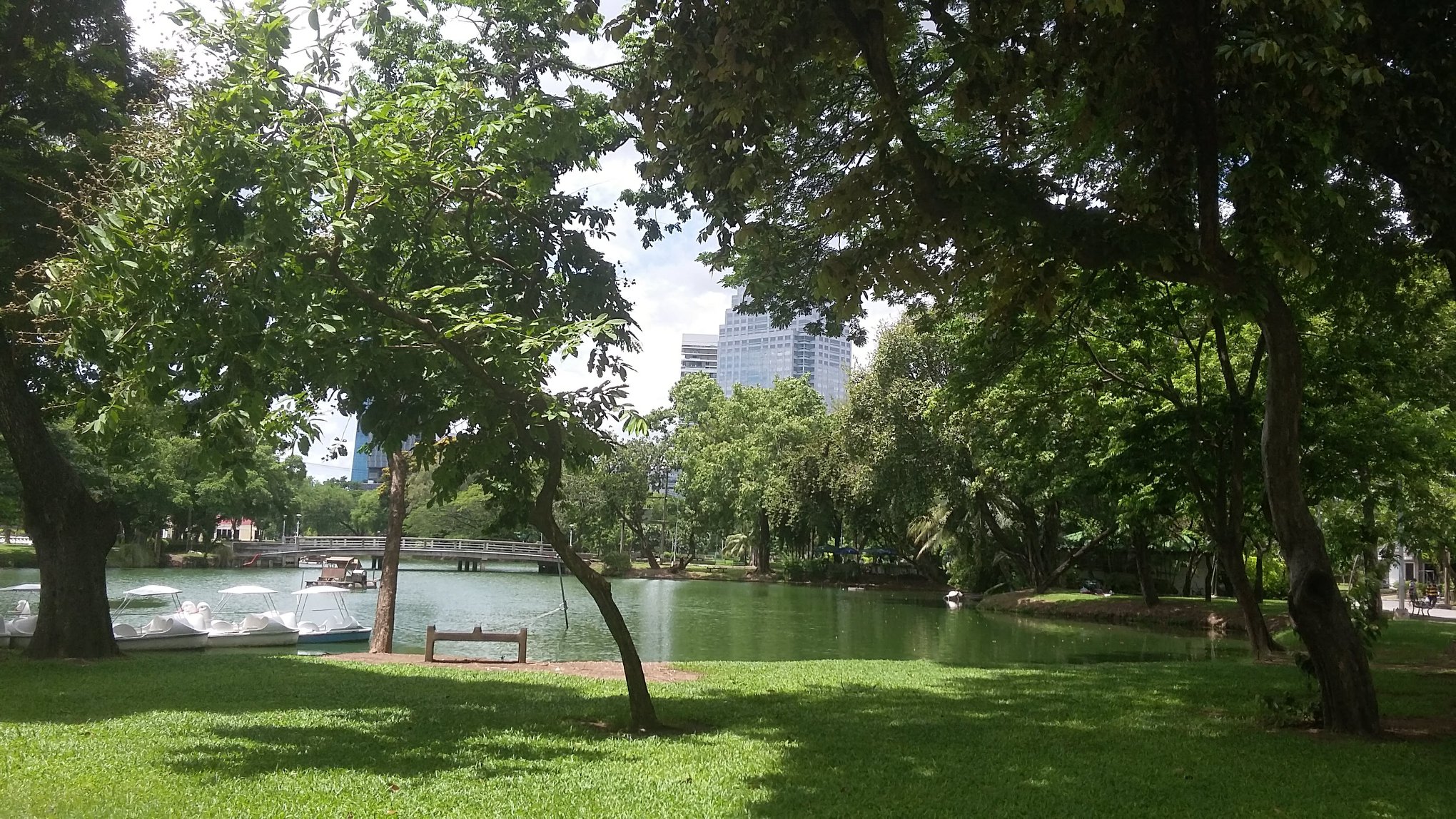A view of the lake in Lumhini Park Bangkok