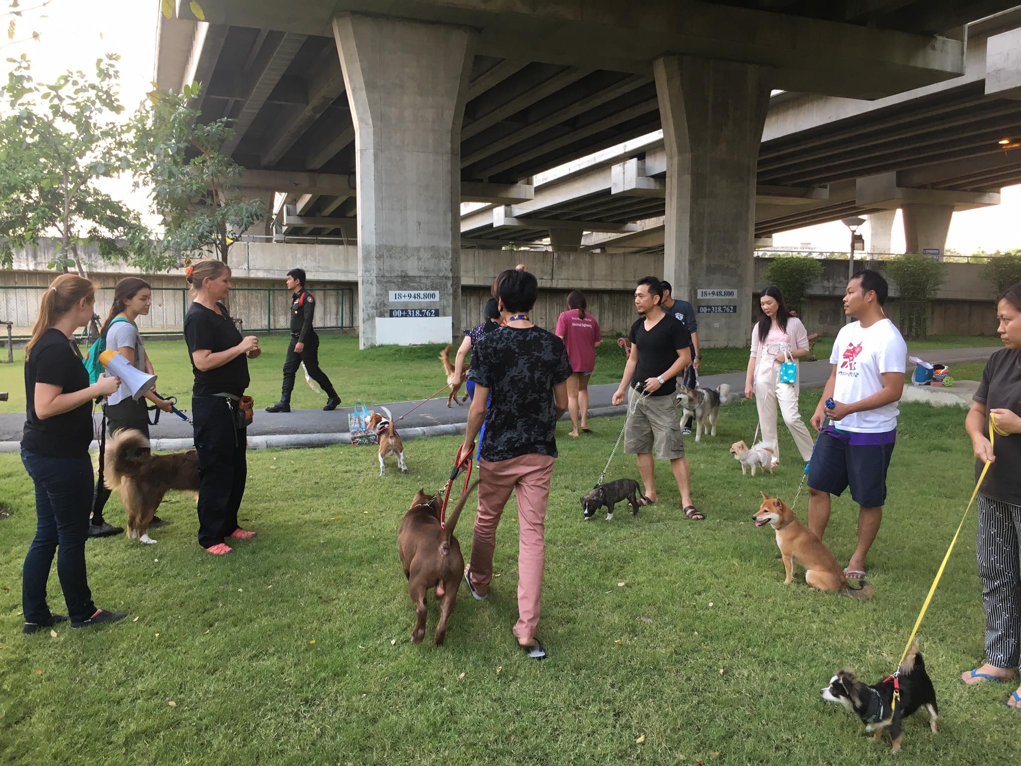 dogs and owners at BMA dog park one in bangkok