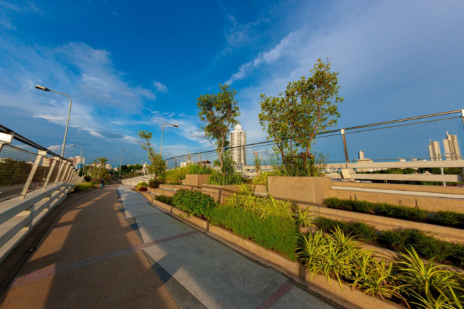 The Chao Phraya Sky Park photo of the pathway lined with grasses and small trees. 
