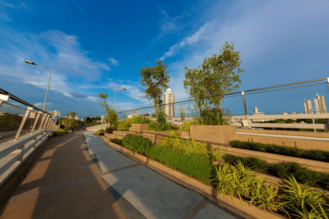 The Chao Phraya Sky Park photo of the pathway lined with grasses and small trees.