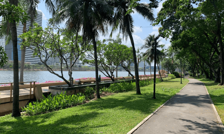 Old Benchakitti Park jogging path lined with trees and a view of the lake. 