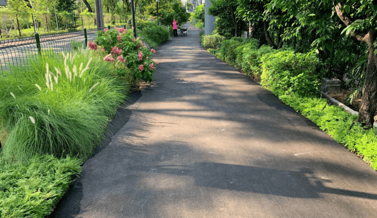 The new green path called “Linear Park” in English but “Phloenchit Park” in Thai