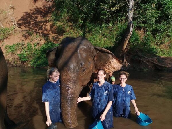 Volunteer in Thailand with Friends for Asia