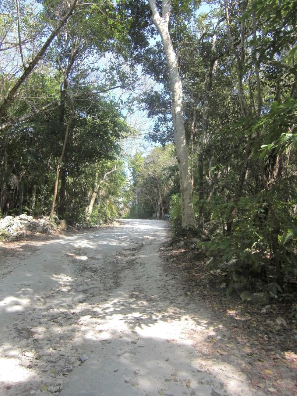 road to the beach.