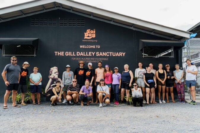 volunteer team at Soi Dog foundation