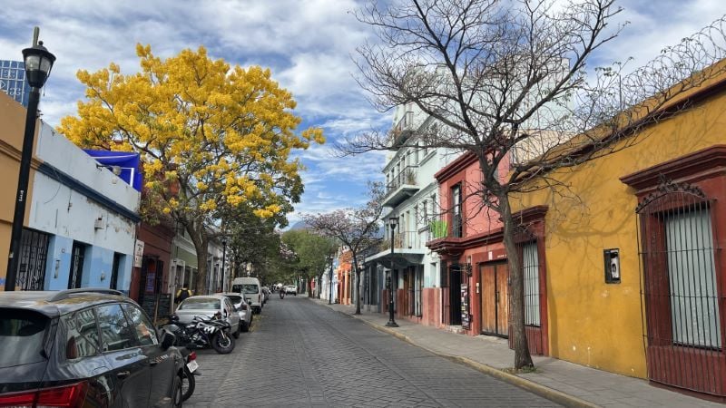 street in Oaxaca. 