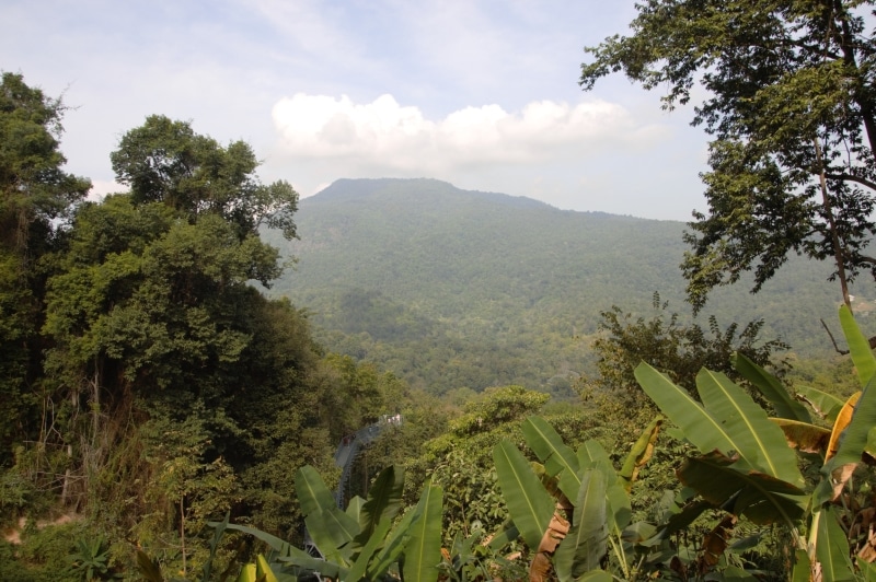 Chiang Mai Scenery