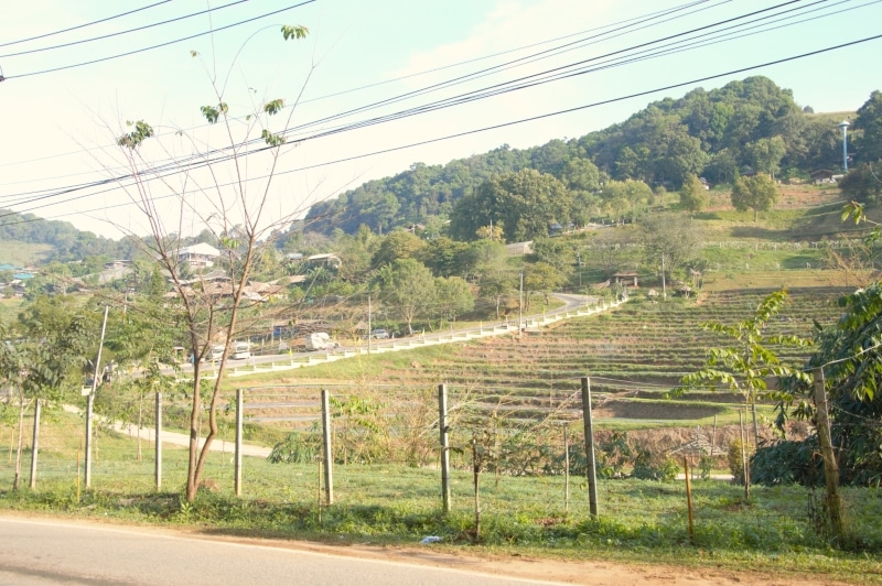 road in Chiang Mai