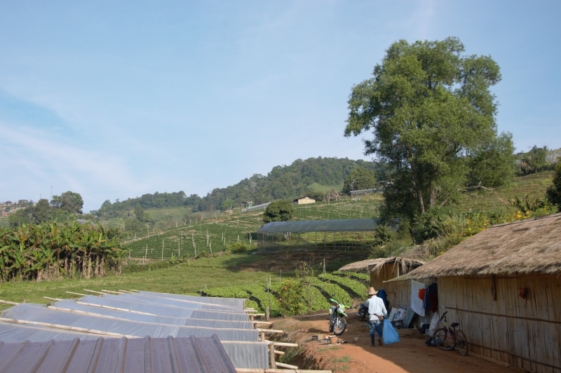 área de colina em Chiang Mai
