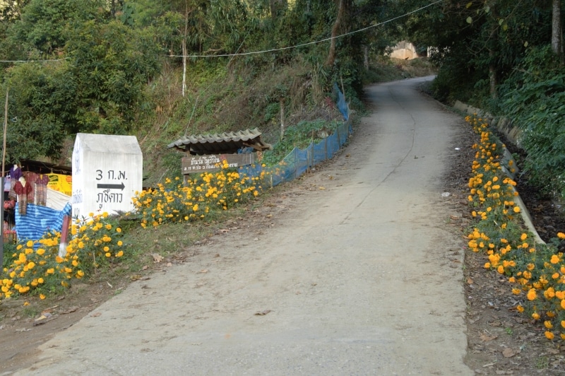 camino hacia Phu Chi Fah en Chiang Rai