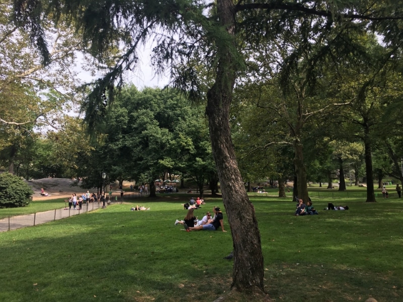 Green park in New York