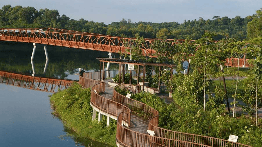 Punggol Promenade Riverside Walk